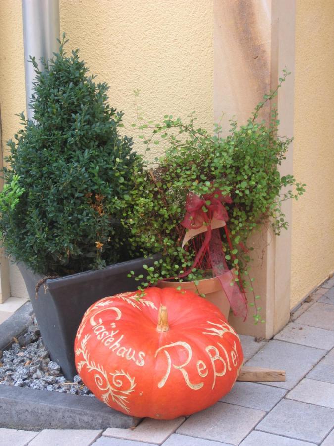 Gaestehaus Ressler Harxheim Екстериор снимка